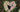 Bouquets Vs Wreaths: When To Send Each Floral Tribute
