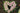 Bouquets Vs Wreaths: When To Send Each Floral Tribute