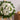 Can You Reuse Wreath Stands? What You Need To Know