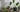 6 Tropical Flowering Houseplants You Can Try Growing At Home