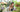Why You Need A Highly Reliable Flower Delivery In Singapore