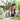 Why You Need A Highly Reliable Flower Delivery In Singapore