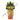 Grand Opening Flower Stand - Auspicious Beginning