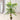 Palm Tree Artificial Plant