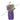 Grand Opening Flower Stand - Glorious Prosperity