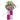 Grand Opening Flower Stand - Admirable