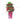 Grand Opening Flower Stand - Fantastic Red