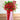 Grand Opening Flower Stand - Thriving Future
