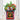 Grand Opening Flower Stand - Prosperous Blossom