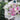Blush Serenity - Mix Pink Roses Flower Bouquet