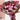 Valentine's Flower