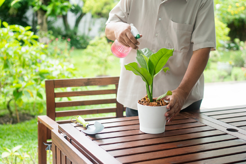 5 Tips For Adding Flowers To Your Daily Routine