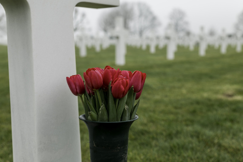 Graceful Gestures: Etiquette For Sending Condolence Flowers