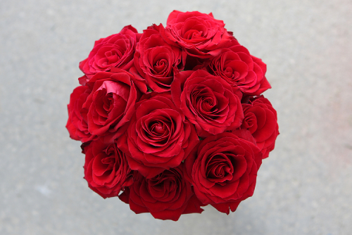 Why 12 Roses? The Romantic Meaning Behind The Bouquet