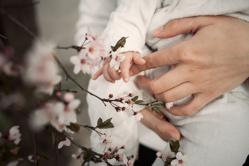 A Guide To Birth Flowers And Their Meanings For Every Month