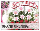 Grand Opening