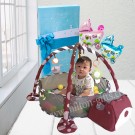 Baby Play Gym Blue /Red/Pink