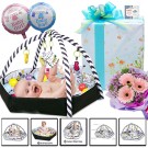 Activity Gym & Ball Pit