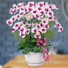 Artificial Orchid Table Flower	