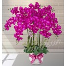Artificial Phalaenopsis Arrangement 