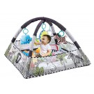 New Born Baby Play Gym
