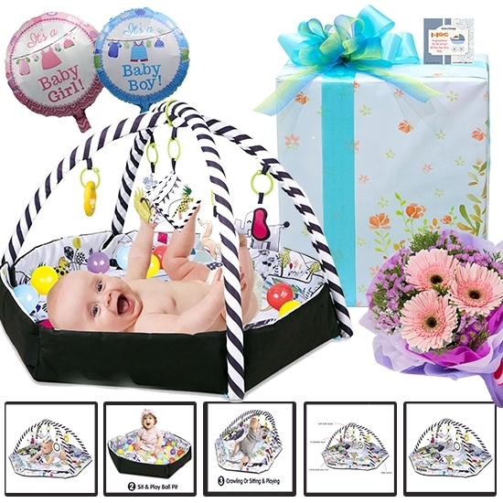 Activity Gym & Ball Pit